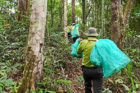 Vườn Quốc gia Kon Ka Kinh thả nhiều cá thể quý hiếm về tự nhiên